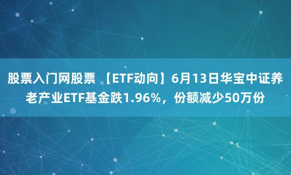 股票入门网股票 【ETF动向】6月13日华宝中证养老产业ETF基金跌1.96%，份额减少50万份