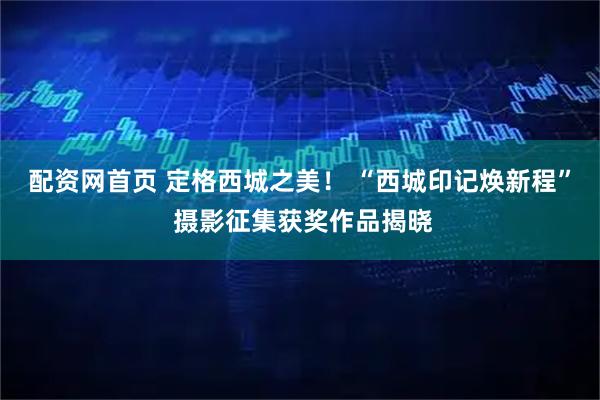配资网首页 定格西城之美! “西城印记焕新程” 摄影征集获奖作品揭晓
