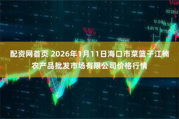 配资网首页 2026年1月11日海口市菜篮子江楠农产品批发市场有限公司价格行情